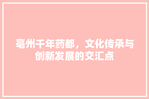 亳州千年药都，文化传承与创新发展的交汇点