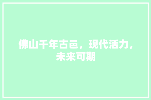 佛山千年古邑，现代活力，未来可期