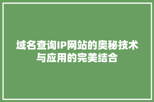 域名查询IP网站的奥秘技术与应用的完美结合