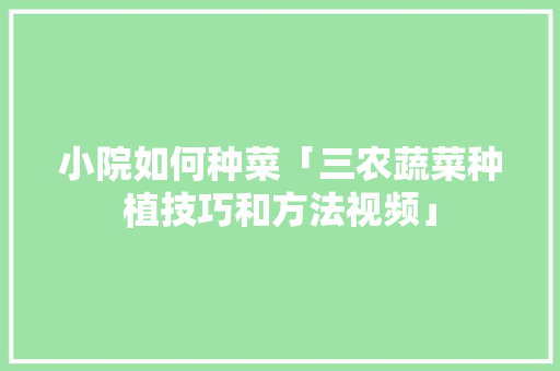 小院如何种菜「三农蔬菜种植技巧和方法视频」 小院如何种菜「三农蔬菜种植技巧和方法视频」 植物种类