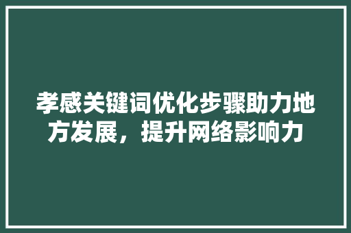 孝感关键词优化步骤助力地方发展，提升网络影响力