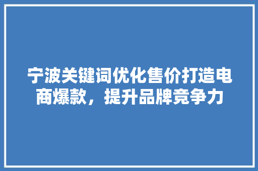 宁波关键词优化售价打造电商爆款，提升品牌竞争力 种植技巧