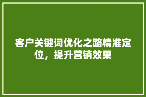 客户关键词优化之路精准定位，提升营销效果