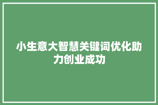 小生意大智慧关键词优化助力创业成功