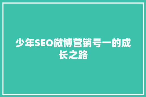 少年SEO微博营销号一的成长之路