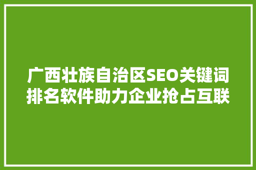 广西壮族自治区SEO关键词排名软件助力企业抢占互联网营销高地