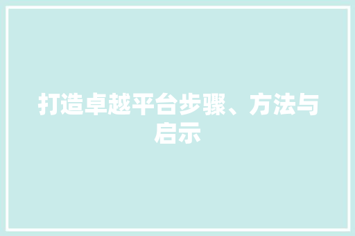 打造卓越平台步骤、方法与启示