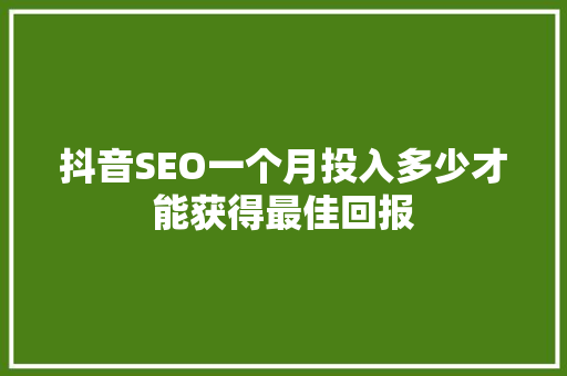 抖音SEO一个月投入多少才能获得最佳回报