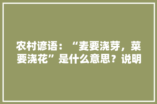 农村谚语：“麦要浇芽，菜要浇花”是什么意思？说明了什么道理「种蔬菜的谚语」