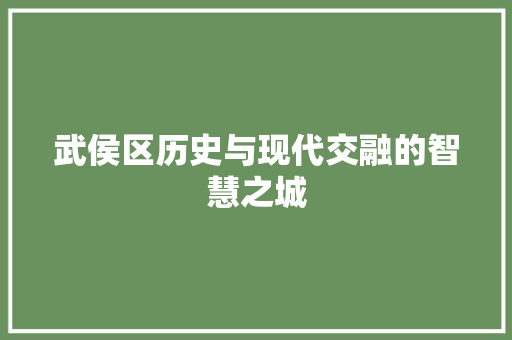 武侯区历史与现代交融的智慧之城