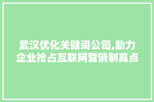 武汉优化关键词公司,助力企业抢占互联网营销制高点