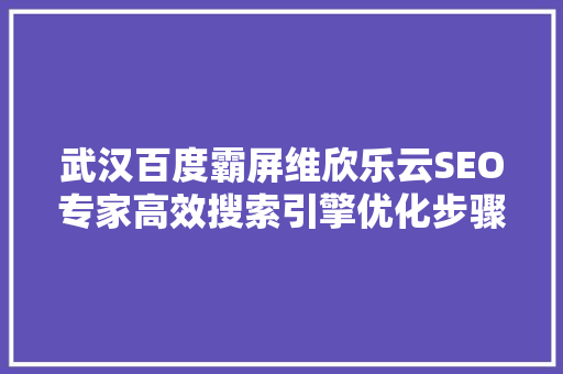 武汉百度霸屏维欣乐云SEO专家高效搜索引擎优化步骤