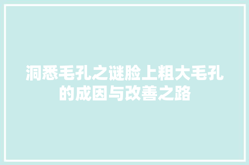 洞悉毛孔之谜脸上粗大毛孔的成因与改善之路