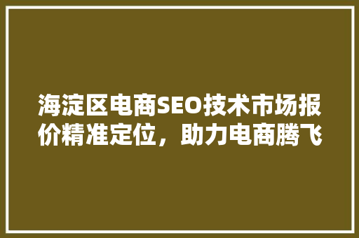 海淀区电商SEO技术市场报价精准定位，助力电商腾飞