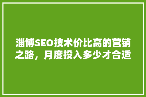 淄博SEO技术价比高的营销之路，月度投入多少才合适