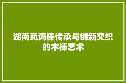 湖南岚鸿棒传承与创新交织的木棒艺术