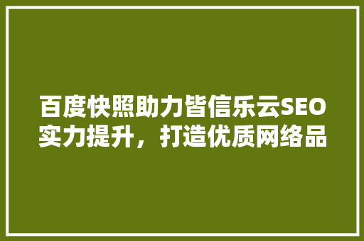 百度快照助力皆信乐云SEO实力提升，打造优质网络品牌形象