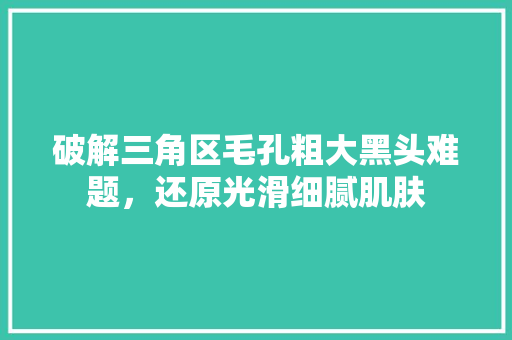 破解三角区毛孔粗大黑头难题，还原光滑细腻肌肤