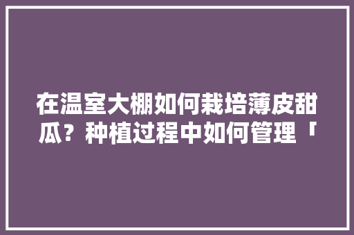 在温室大棚如何栽培薄皮甜瓜？种植过程中如何管理「番茄怎么种植拱门盆景视频」