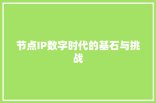节点IP数字时代的基石与挑战