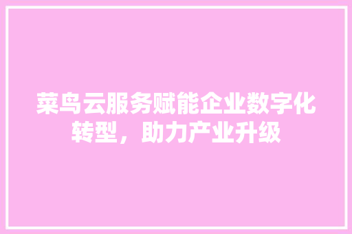 菜鸟云服务赋能企业数字化转型，助力产业升级