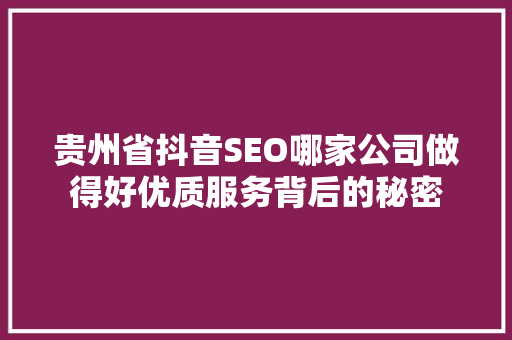 贵州省抖音SEO哪家公司做得好优质服务背后的秘密