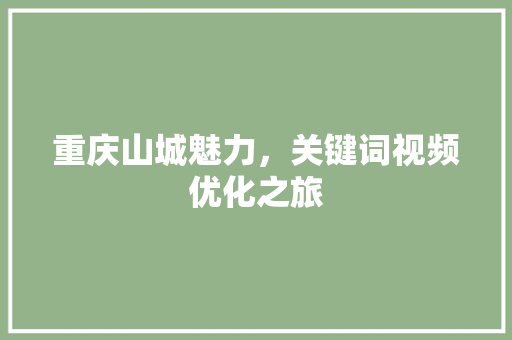 重庆山城魅力，关键词视频优化之旅