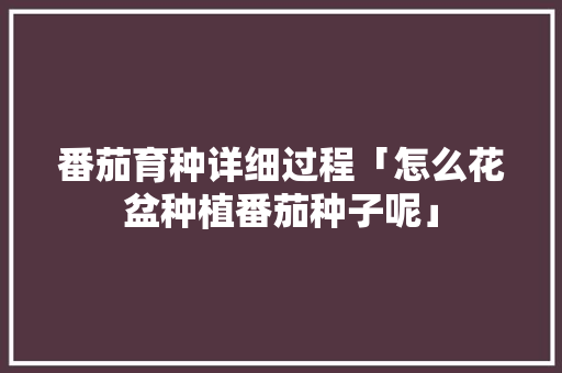 番茄育种详细过程「怎么花盆种植番茄种子呢」 番茄育种详细过程「怎么花盆种植番茄种子呢」 种植技巧