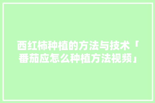 西红柿种植的方法与技术「番茄应怎么种植方法视频」