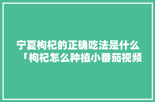 宁夏枸杞的正确吃法是什么「枸杞怎么种植小番茄视频」