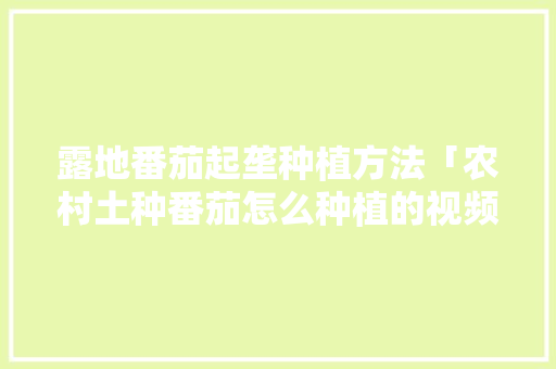 露地番茄起垄种植方法「农村土种番茄怎么种植的视频」 露地番茄起垄种植方法「农村土种番茄怎么种植的视频」 番茄病虫害防治