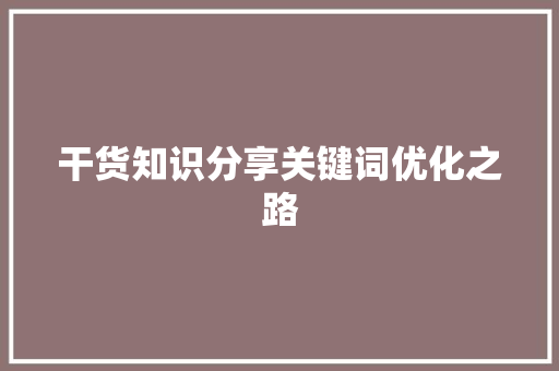 干货知识分享关键词优化之路