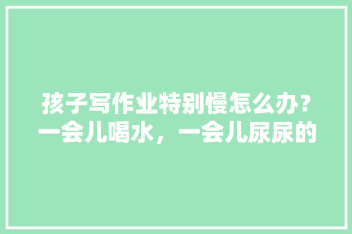 孩子写作业特别慢怎么办？一会儿喝水，一会儿尿尿的，愁死了「阿尔法水培番茄怎么种植的」