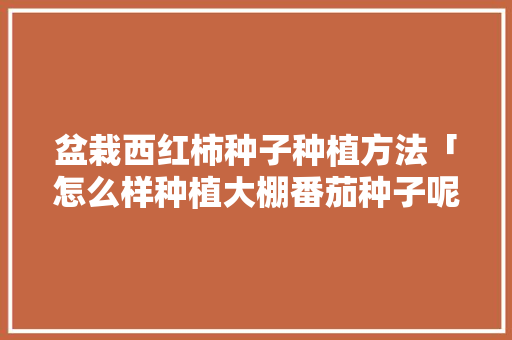 盆栽西红柿种子种植方法「怎么样种植大棚番茄种子呢」 盆栽西红柿种子种植方法「怎么样种植大棚番茄种子呢」 花朵知识