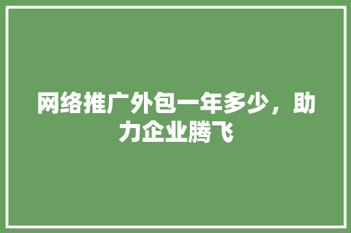 网络推广外包一年多少，助力企业腾飞