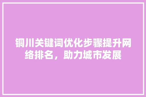 铜川关键词优化步骤提升网络排名，助力城市发展