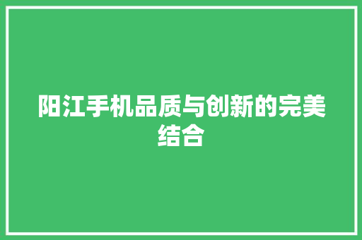 阳江手机品质与创新的完美结合