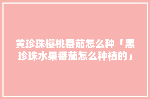 黄珍珠樱桃番茄怎么种「黑珍珠水果番茄怎么种植的」 种植技巧 黄珍珠樱桃番茄怎么种「黑珍珠水果番茄怎么种植的」 黄珍珠樱桃番茄怎么种「黑珍珠水果番茄怎么种植的」 种植技巧