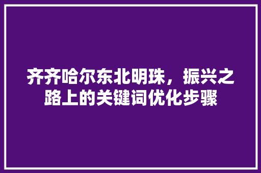 齐齐哈尔东北明珠，振兴之路上的关键词优化步骤
