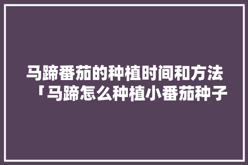 马蹄番茄的种植时间和方法「马蹄怎么种植小番茄种子图片」 马蹄番茄的种植时间和方法「马蹄怎么种植小番茄种子图片」 植物种类
