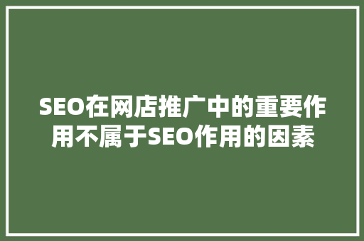 SEO在网店推广中的重要作用不属于SEO作用的因素