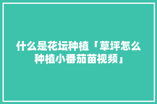 什么是花坛种植「草坪怎么种植小番茄苗视频」 什么是花坛种植「草坪怎么种植小番茄苗视频」 土壤施肥