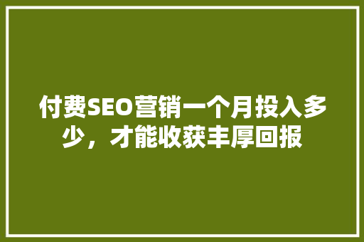 付费SEO营销一个月投入多少，才能收获丰厚回报