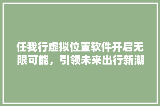 任我行虚拟位置软件开启无限可能，引领未来出行新潮流