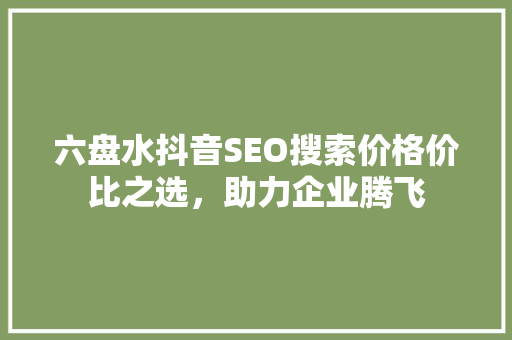 六盘水抖音SEO搜索价格价比之选，助力企业腾飞