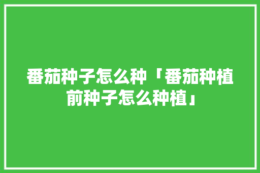 番茄种子怎么种「番茄种植前种子怎么种植」 番茄种子怎么种「番茄种植前种子怎么种植」 土壤施肥