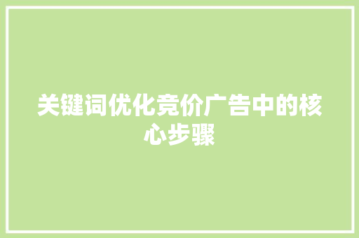 关键词优化竞价广告中的核心步骤