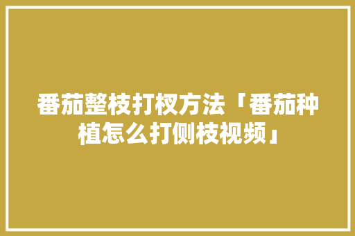 番茄整枝打杈方法「番茄种植怎么打侧枝视频」 番茄整枝打杈方法「番茄种植怎么打侧枝视频」 植物种类