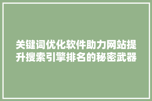 关键词优化软件助力网站提升搜索引擎排名的秘密武器