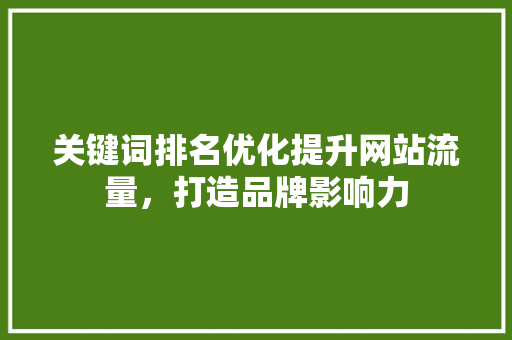 关键词排名优化提升网站流量，打造品牌影响力